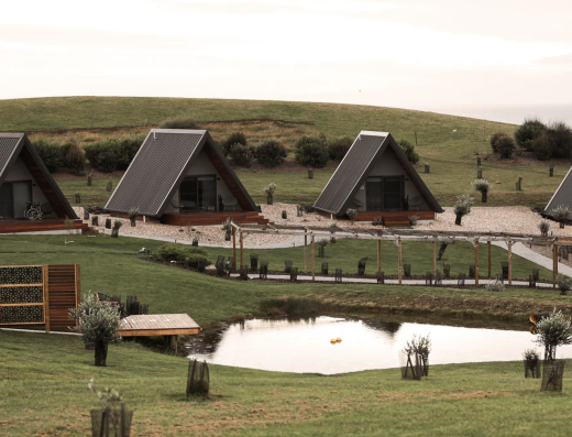 4 A frame houses surrounded by greenery